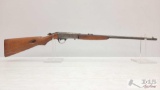 Remington 24 .22 LR Semi-Auto Rifle