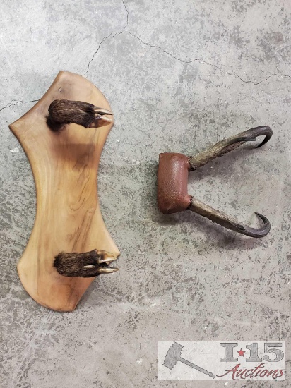 Hooves And Antlers