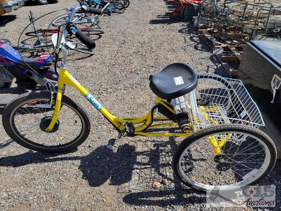 Sun Electric Tricycle
