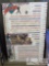 History of Baseball in the Major Leagues Frame