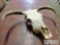 Skull Mount
