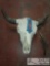 Decorated Skull Mount