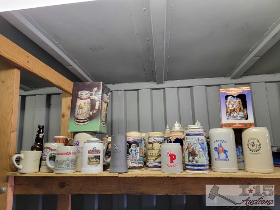 Beer Stein and Mug Collection