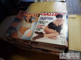 Box of Over 50 Gallery Adult Magazines from 1980s-2000s