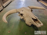 Skull Mount