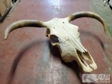Skull Mount