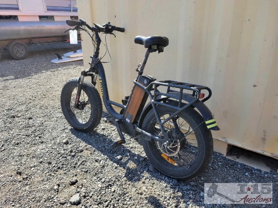 Promax Electric Bicycle