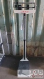 Detecto Weight And Height Scale
