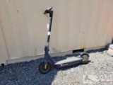 Ninebot Electric Scooter