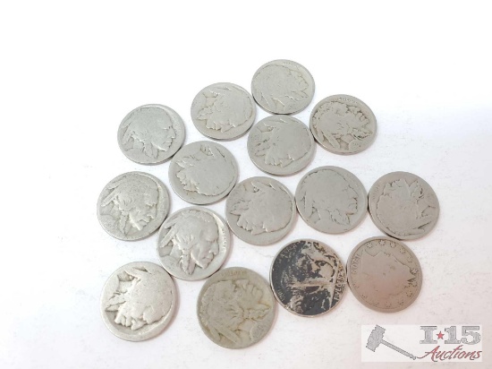 (14) Buffalo Nickels