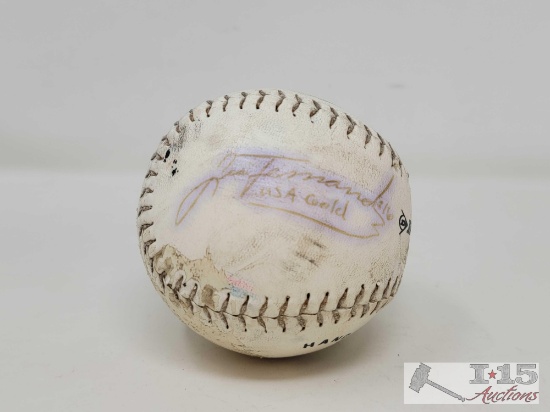 Lisa Fernandez USA Gold #16 Signed Softball