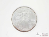 2002 American Silver Egale Dollar