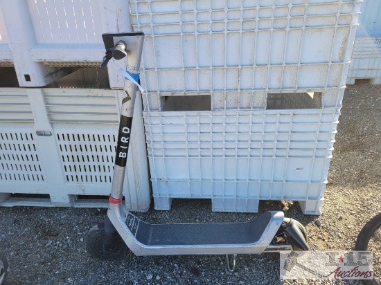 Bird Electric Scooter