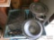 Totes of Speakers, Speaker Kits, Amplifiers & More