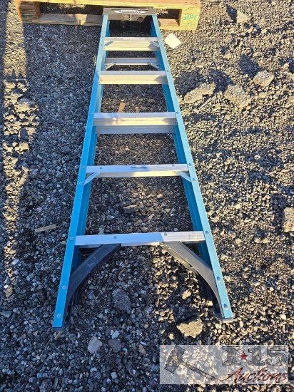 Werner 6FT Ladder