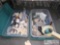 Rock and Sea Shell Collection