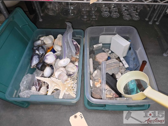 Rock and Sea Shell Collection
