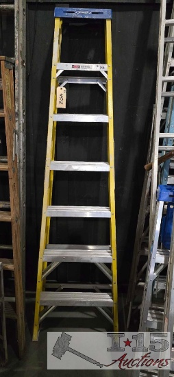 Werner Ladder