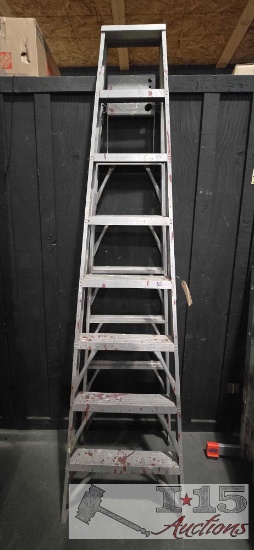 Aluminum Ladder