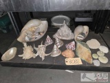 Sea Shell Collection