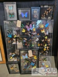 9 Framed Butterfly Art Displays