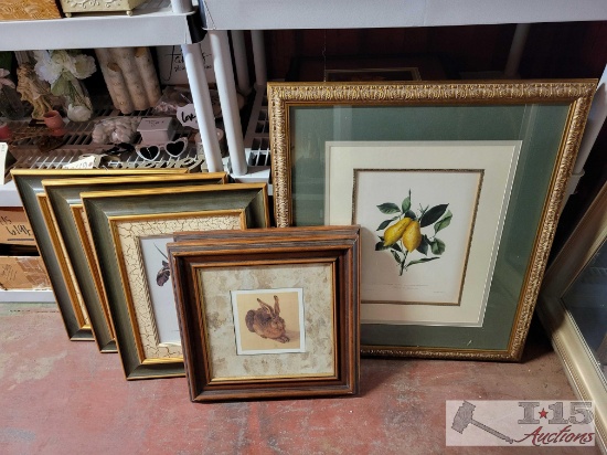 Picture Frame Collection