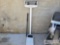 Detecto Scale