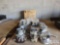 Ford Parts