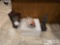 Vintage Hourglass, Metal Coin Bank, Knife and Statue Set, and Dolls