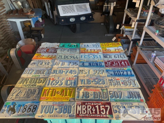 43 License Plates