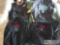 (3) National Finals Rodeo Varsity Jackets and (1) Vest