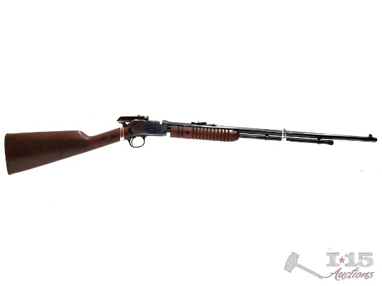 Amadeo Rossi 22lr Semi-Auto Rifle