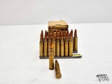 (80) Rounds of Ammo