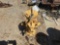 Fire Hydrant