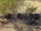 (15) Assorted Wheels and Leaf Springs