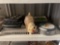 Muffin Pans, Baking Sheets, Pan Set & Cookie Jar