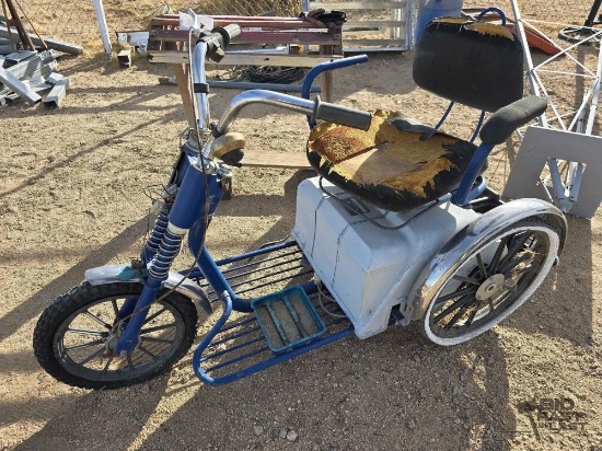 Amigo Electric Trike