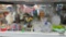 Glassware, Candy Dishes & More