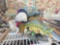 Brass Button Bear, Bass Decor & More