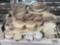 China Set