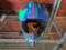 Virtue Helmet