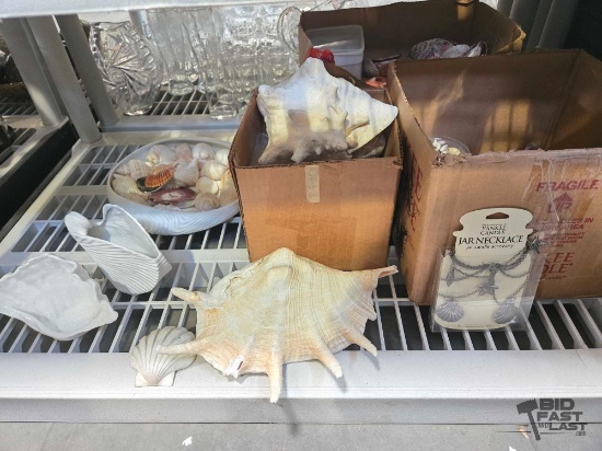 Seashells & Decor