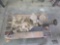 Mopar Early 4-Speed Manual Transmission with Hurst Competition Plus Shifter