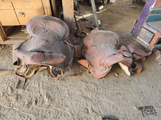 (2) Saddles