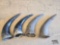 (4) Buffalo Horns