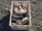(9) Heavy Duty Castors