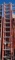 (3) Werner Extension Ladders