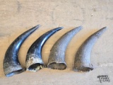 (4) Buffalo Horns