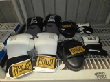 Everlast Boxing Gloves, Hand Pads & Fight Gloves