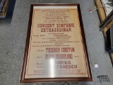 Concert Simfonic Extraordinar Framed Poster